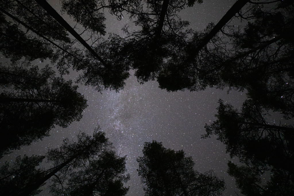 Mon parcours Voix lactée