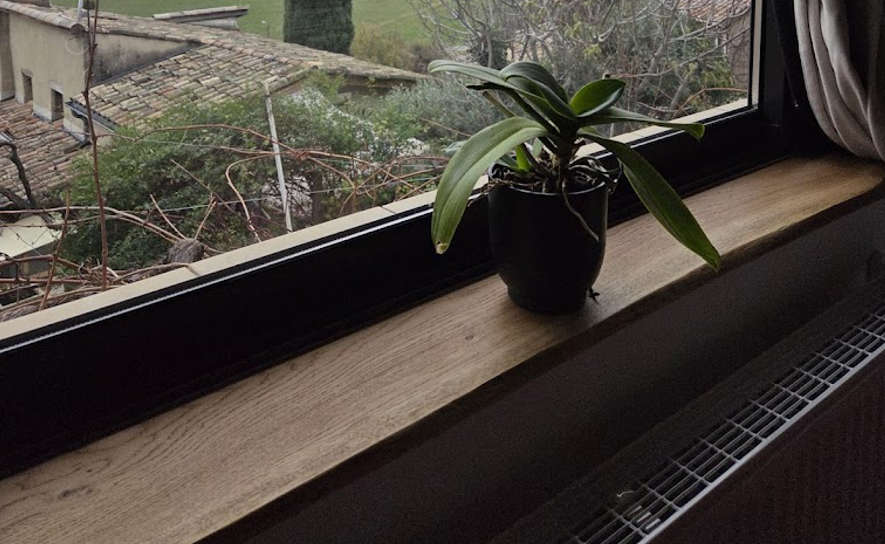 Portfolio Tablettes en chêne